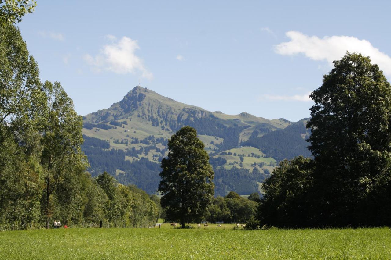Absolute Active Roulette Apartments Kirchberg Kirchberg in Tirol Zewnętrze zdjęcie